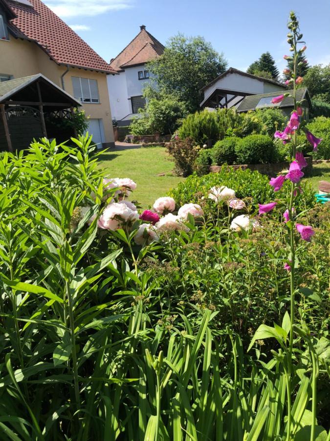 Gemuetliches Apartment Garden View Ramstein-Miesenbach Ngoại thất bức ảnh