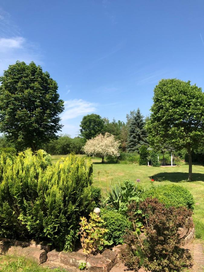 Gemuetliches Apartment Garden View Ramstein-Miesenbach Ngoại thất bức ảnh