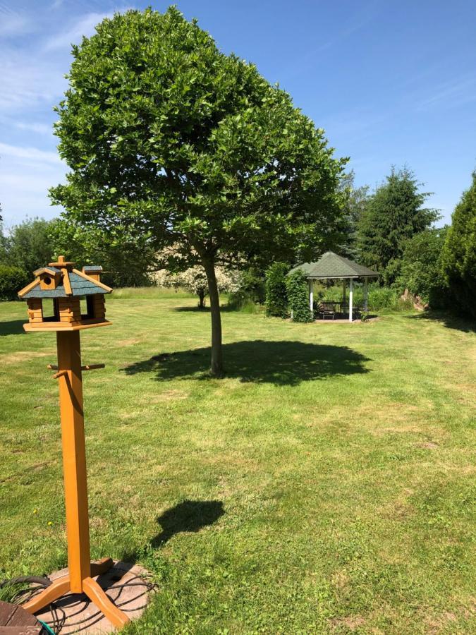 Gemuetliches Apartment Garden View Ramstein-Miesenbach Ngoại thất bức ảnh